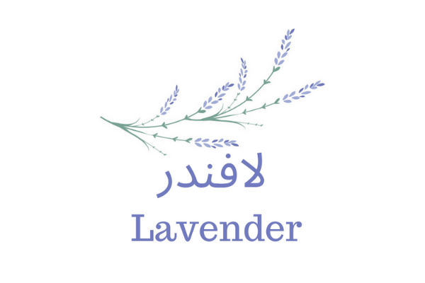 شعار لافندر