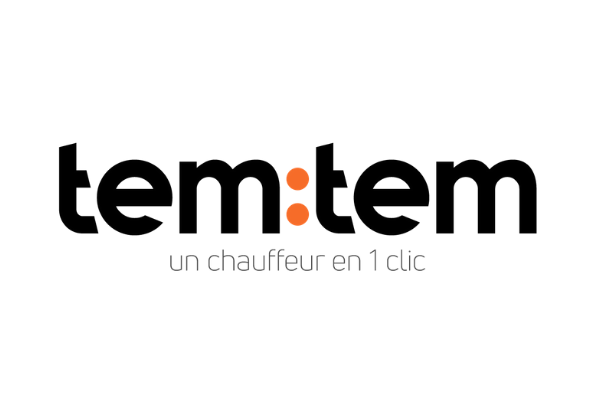 logo de TemTem