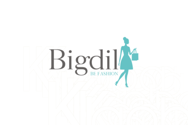logo de Bigdil