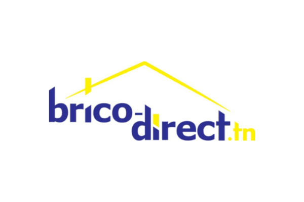 logo de Brico-direct