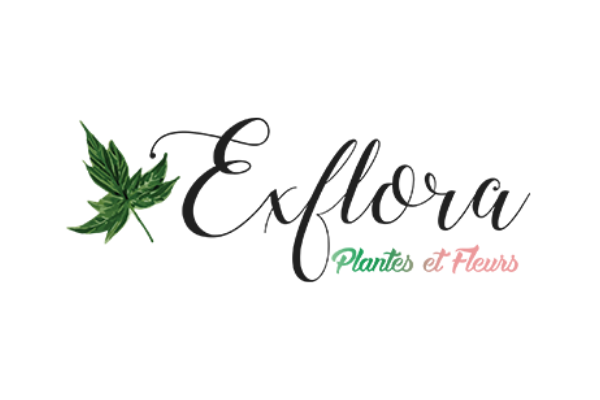 logo de Exflora